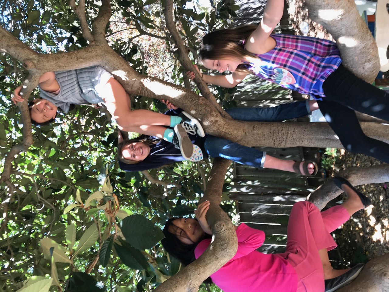 mary ellen hill ACC 2025 FAD PAD