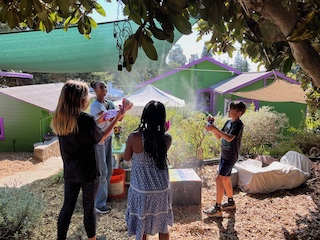 mary ellen hill FAD PAD